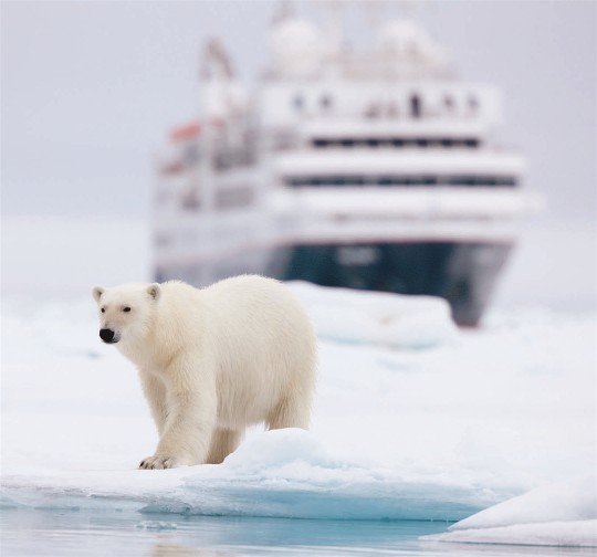 Eleg�ncia Polar