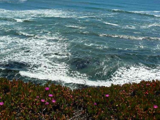The Ritz-Carlton, Half Moon Bay