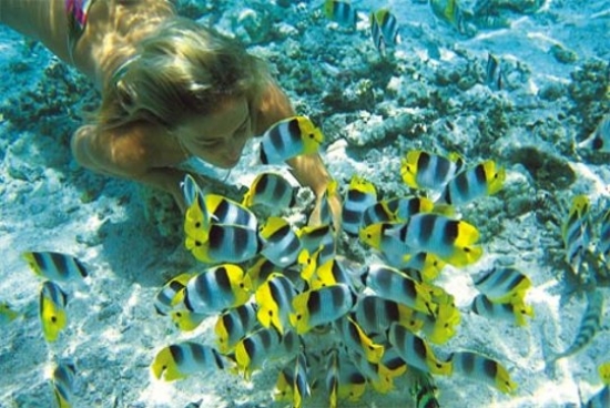 Snorkeling