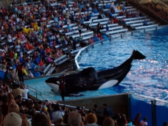 Sea World
